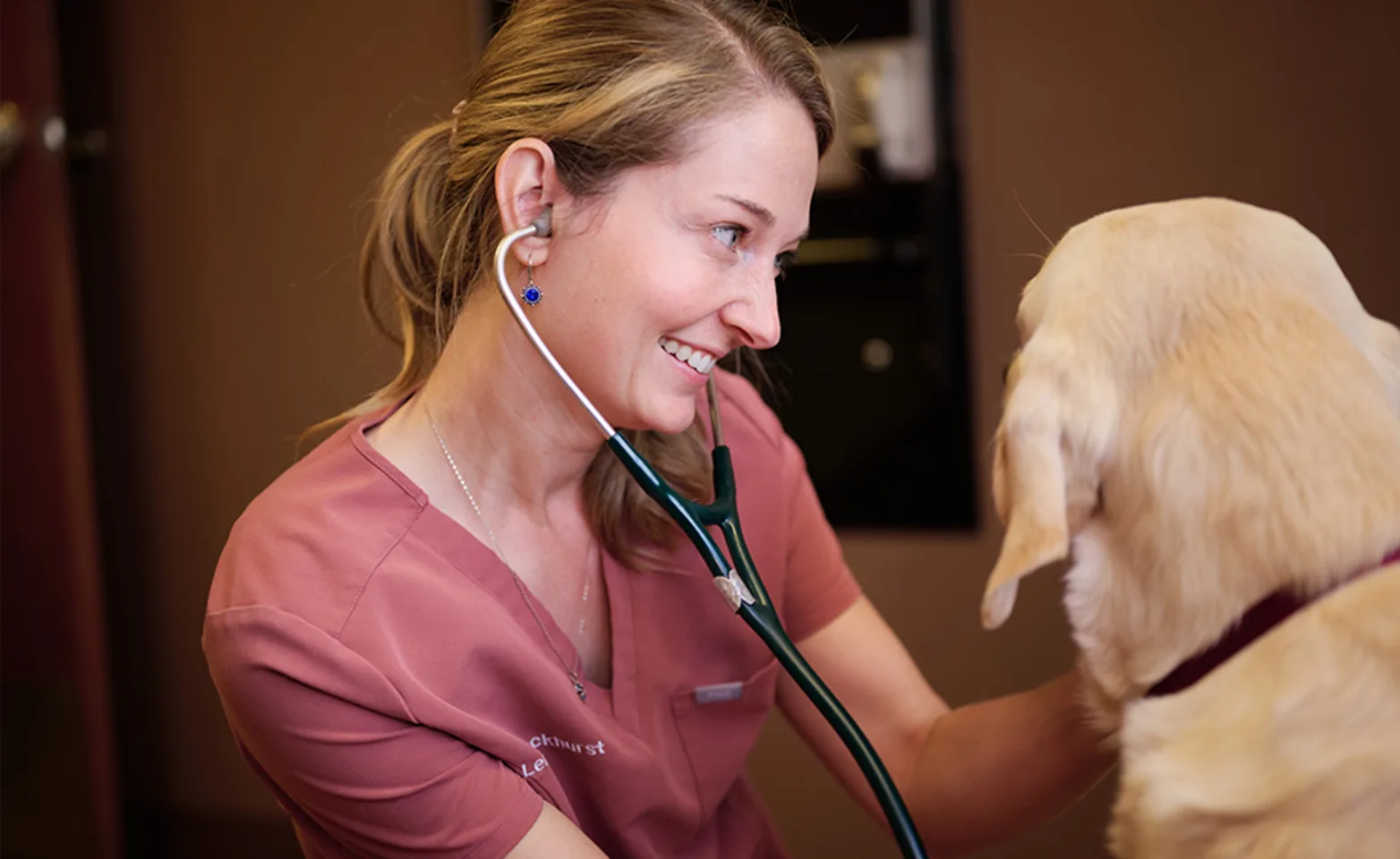 A Missoula Veterinary Clinic doctor helping a dog